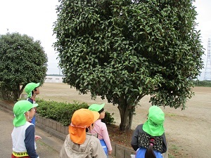 IMG_2383 IMG_2383