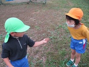 IMG_2392 IMG_2392