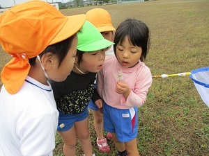 IMG_2396 IMG_2396