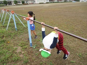 IMG_2393 IMG_2393
