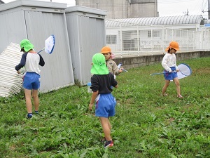 IMG_2391 IMG_2391