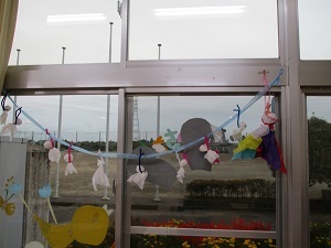 IMG_2409 IMG_2409