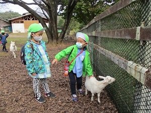 IMG_2474 IMG_2474
