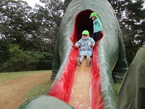 IMG_2493 IMG_2493