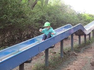 IMG_2512 IMG_2512