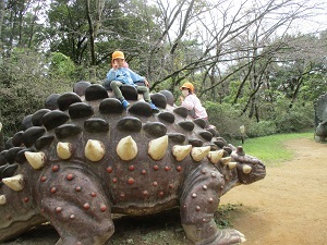 IMG_2523 IMG_2523