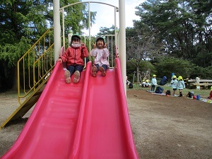 IMG_2536 IMG_2536