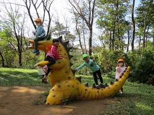 IMG_2543 IMG_2543
