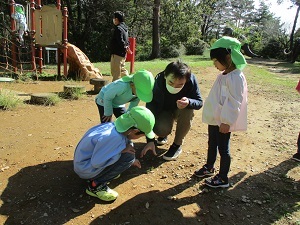 IMG_2551 IMG_2551
