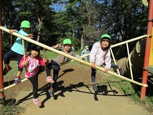 IMG_2558 IMG_2558