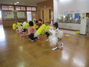IMG_2619 IMG_2619