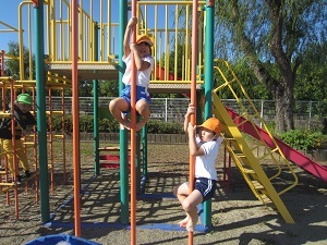 IMG_0781 IMG_0781