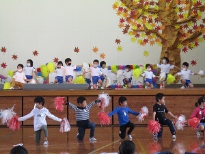 IMG_2646 IMG_2646