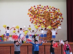 IMG_2652 IMG_2652