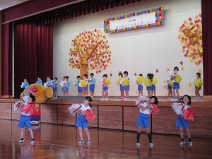 IMG_2722 IMG_2722