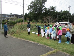IMG_2774 IMG_2774
