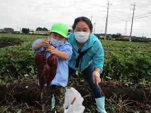IMG_2810 IMG_2810