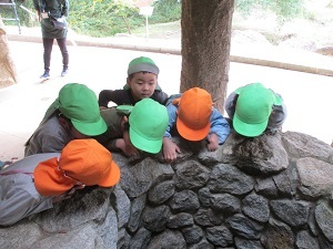 IMG_2832 IMG_2832