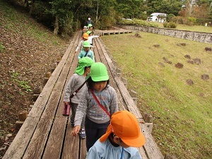 IMG_2840 IMG_2840