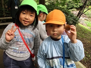IMG_2842 IMG_2842
