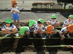 IMG_2907 IMG_2907