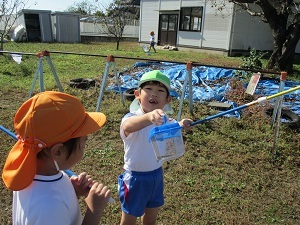 IMG_2913 IMG_2913