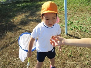 IMG_2914 IMG_2914