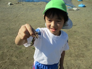 IMG_2919 IMG_2919