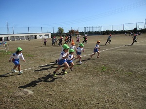 IMG_3056 IMG_3056