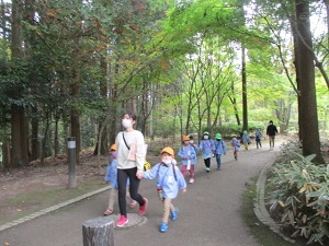 IMG_3160 IMG_3160