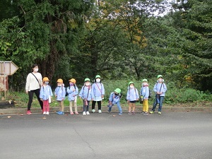 IMG_3162 IMG_3162