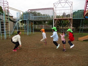 IMG_3137 IMG_3137
