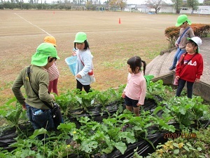 IMG_3146 IMG_3146