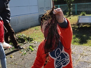 IMG_3198 IMG_3198