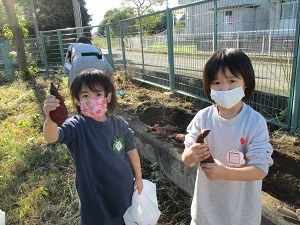 IMG_3200 IMG_3200