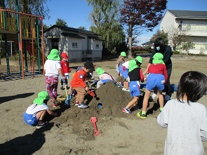 IMG_3206 IMG_3206