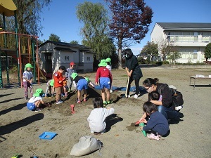 IMG_3207 IMG_3207