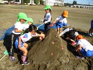 IMG_3221 IMG_3221