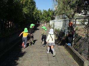 IMG_3254 IMG_3254