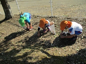 IMG_3336 IMG_3336