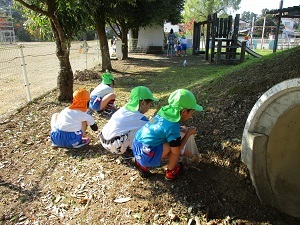 IMG_3337 IMG_3337