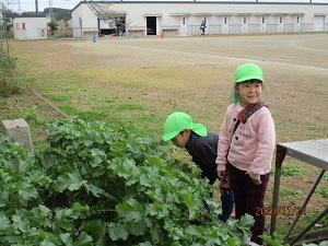 IMG_3447 IMG_3447