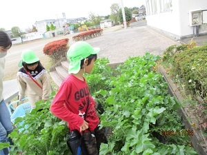 IMG_3448 IMG_3448