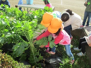 IMG_3607 IMG_3607
