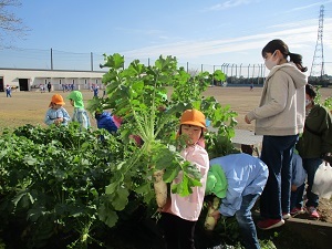 IMG_3609 IMG_3609