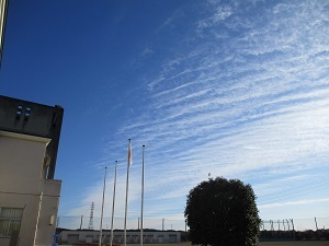 IMG_4236 IMG_4236