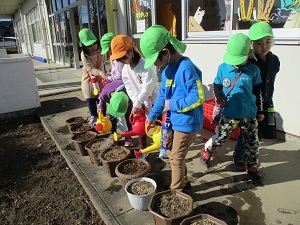IMG_4241 IMG_4241
