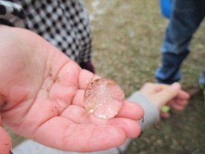 IMG_4276 IMG_4276