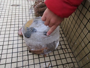 IMG_4278 IMG_4278