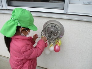 IMG_4291 IMG_4291